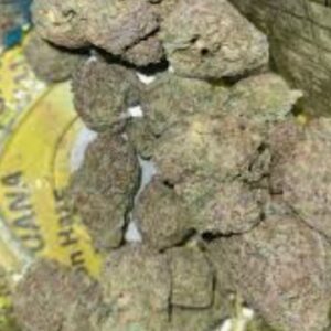 Gorilla Runtz
